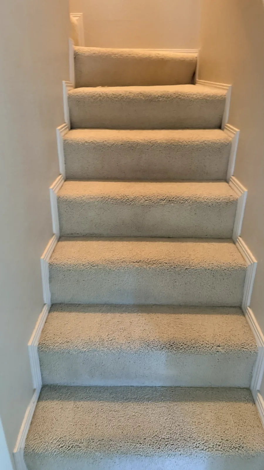 Carpet Extraction — after — Service Pros, Tulsa metro Oklahoma